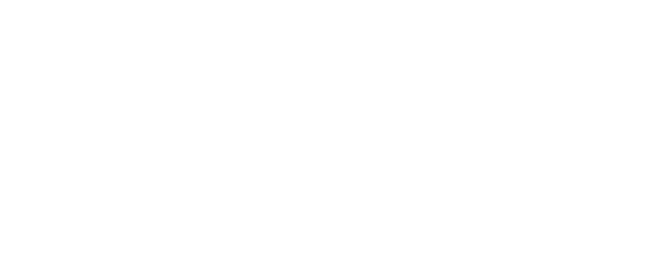 RTMS Holdings